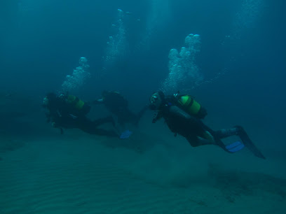 Marina diving Ametlla