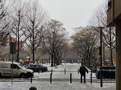 Parque de las Magnolias