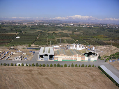 Luqsa