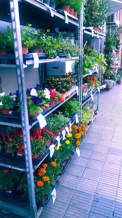 Atmosphere Home-Garden