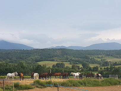 Cavalls de Cerdanya