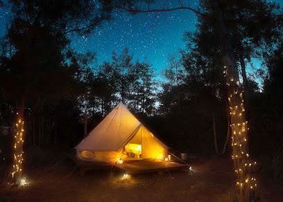 Forest Days Glamping