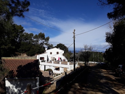 Tir Esportiu Mataró(TEM)
