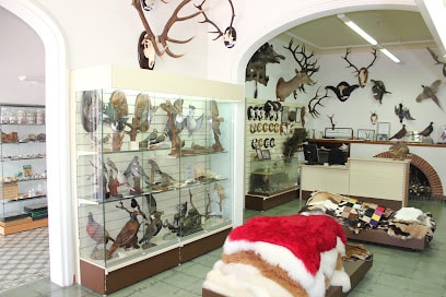 Taxidermia El Ciervo