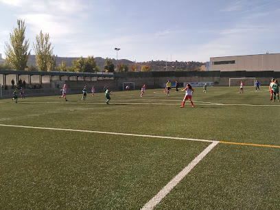 Campo de Deportes Municipal de Ascó