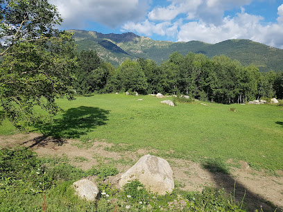 Menhirs de Llaünes