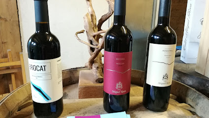 Celler Miquel Roca