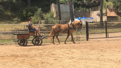 EL MAS DELS CAVALLS (Matadepera - Terrassa - Sabadell) CLASSES - RUTES - PUPIL·LATGE