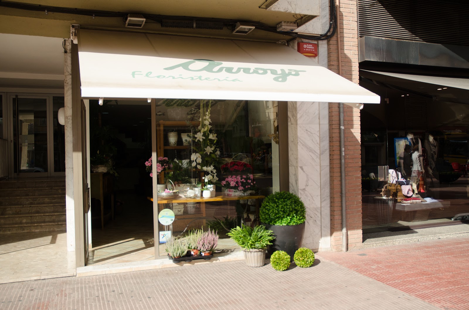ARROYO FLORISTERIA