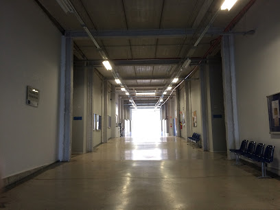 Facultad de Bellas Artes