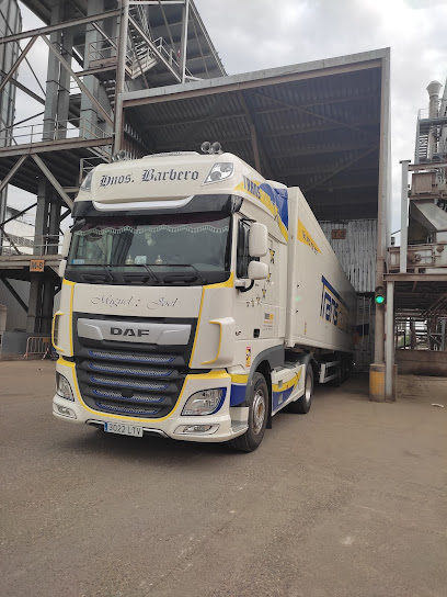 BORGES AGRICULTURAL &amp; INDUSTRIAL EDIBLE OILS, S.A.U.
