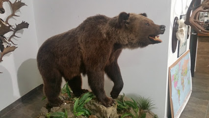 Arids Romá - Planta