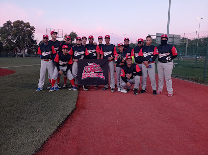 Campo De Béisbol y Softbol Drac's