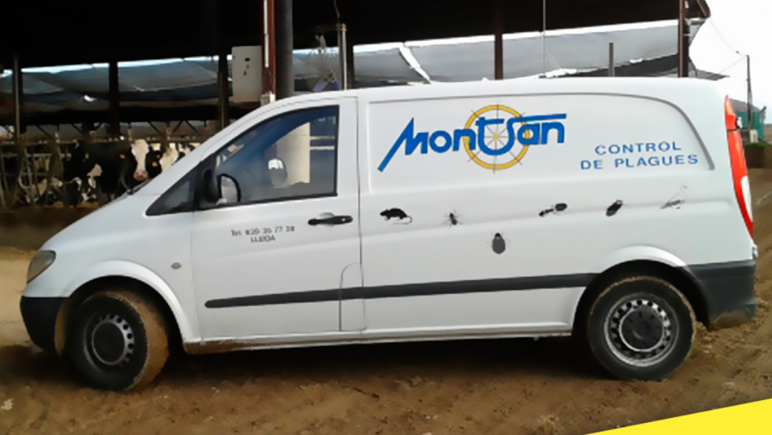 MONTSAN S.C.P. Control de plagas, Fumigación