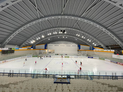Pista de Hielo