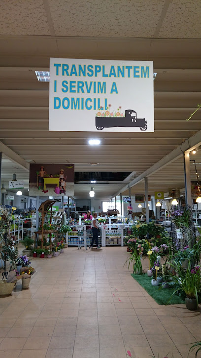 Germinova