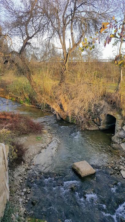 Puente del Boque de Biterna