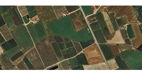 Vèrtex Agroforestal