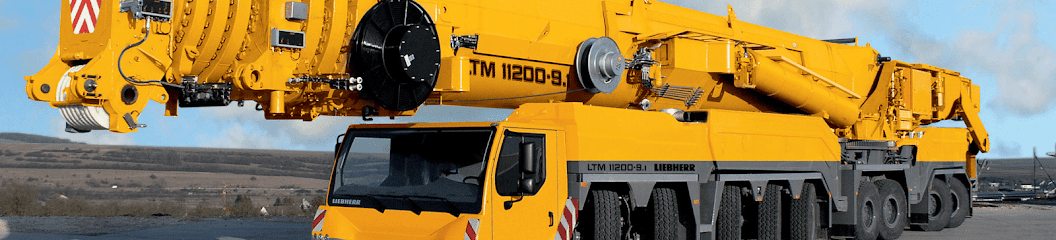 ALQUILER DE GRUAS ROMAN