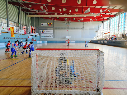 Pavelló municipal d’esports Antoni Roure Vila, Alpicat