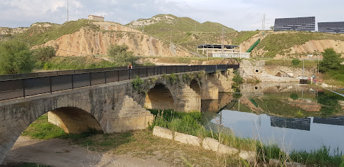 Canyissar de la Noguera Ribagorçana