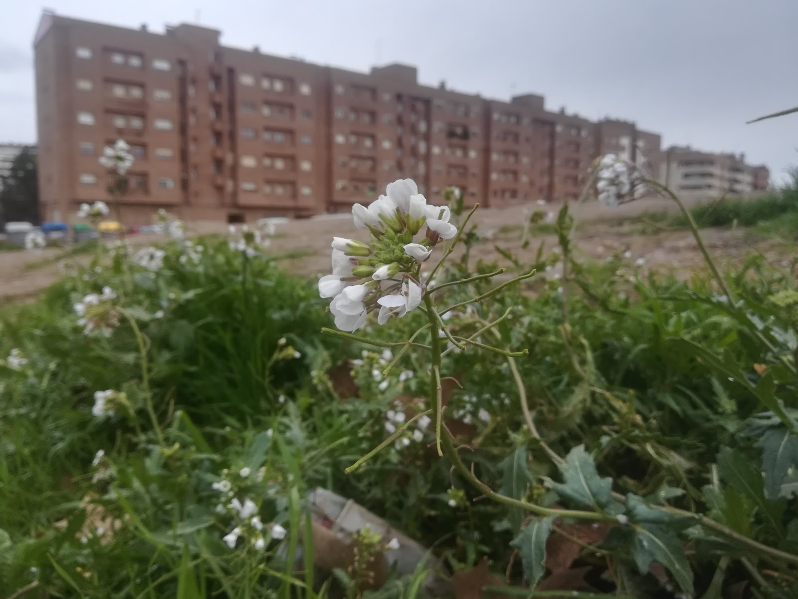 Carrer Segrià, 39 Parking