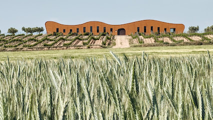Celler Boldú viticultors