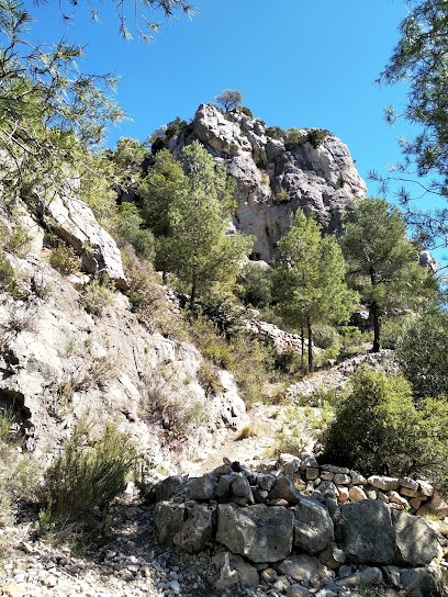 Grau dels Bous