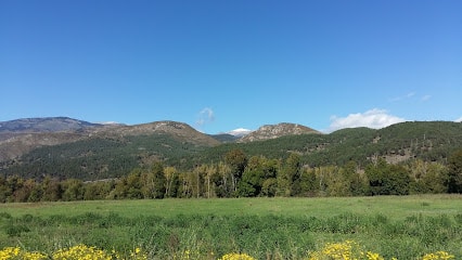 Terreny Fundacio Sant Roc Bellver
