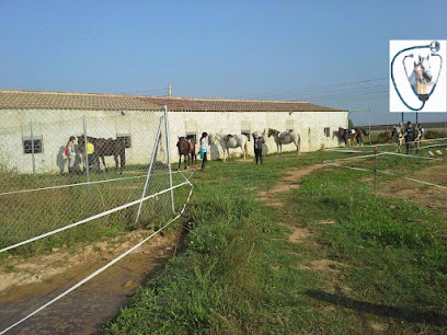 Vinatesa Centre-Ada Torra, veterinària equina-hípica