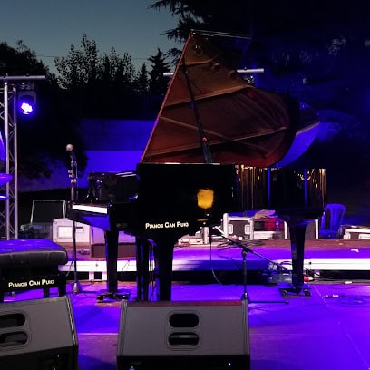 Afinador de Pianos a Catalunya - Guillem Alexandre Puig