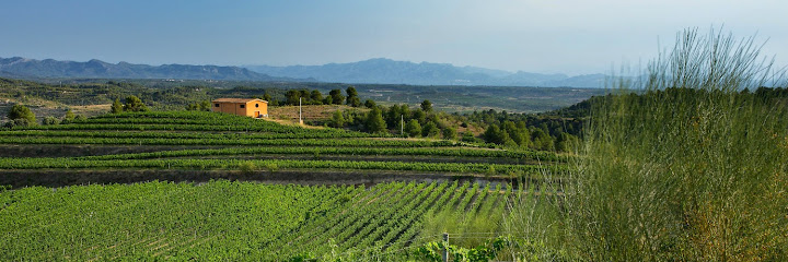 Clos Galena · Domini de la Cartoixa · DOQ Priorat