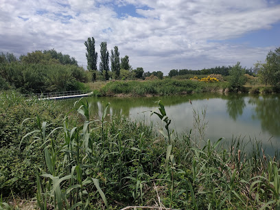 Aiguamolls de Rufea | Lleida