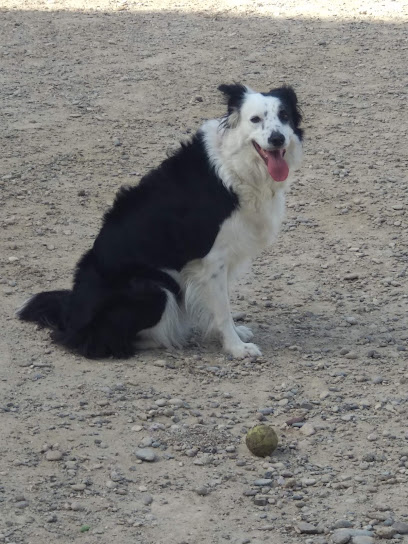 Parque canino de Torrefarrera