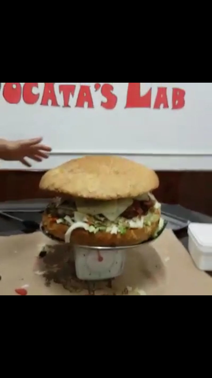 THE BOCATA'S LAB