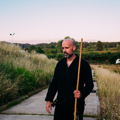 Kung fu Sant Cugat - Escola d' Arts Marcials