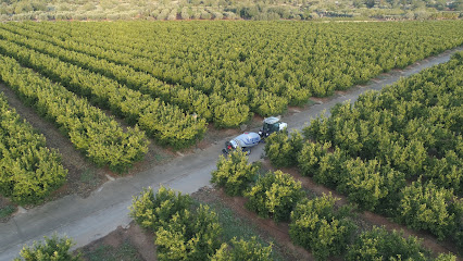 TEYME Tecnología Agrícola, S.L.