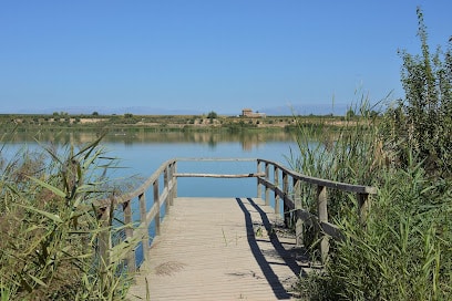 Punt Observa-ocells