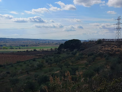 Tosales de Torregrossa (Margalef y La Pena)