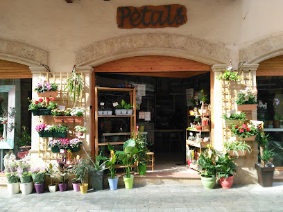 Floristeria Pètals Torredembarra