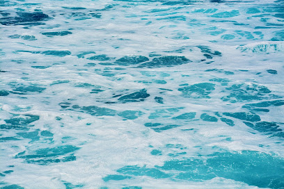 Aquatreat XXI