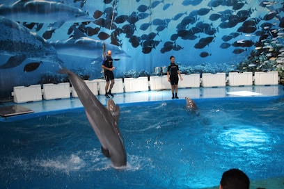 Zoo Barcelona