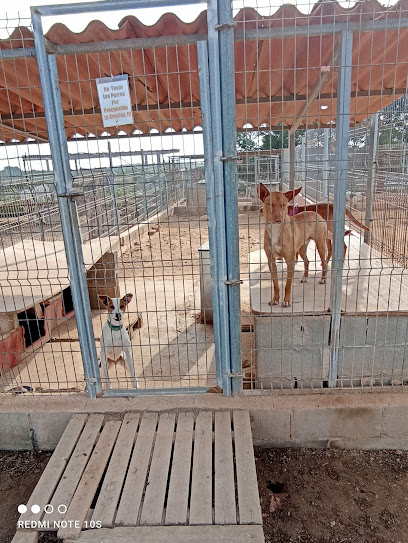 SPAC Protectora de Animales de Torredembarra