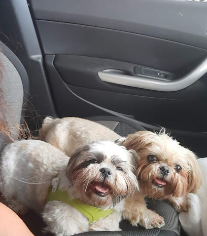 Centre Veterinari del Segre