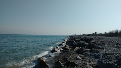 Piscimar
