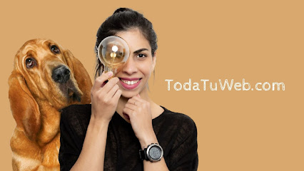 DISEÑADOR WEB - CARO ROJAS