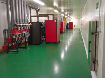 Control Dinamic España