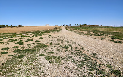 Aerodromo de Sariñena