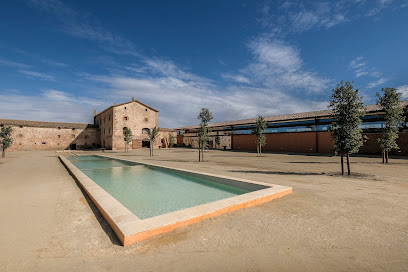 Celler Purgatori - Familia Torres