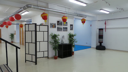 Escuela de Shaolin Kung fu Madrid - Shaolin Cultural Center